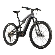 Elektrokolo Leader Fox ARGUS 29", 2024
