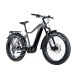 Elektrokolo Leader Fox BRASA 26", 2024