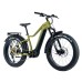 Elektrokolo Leader Fox BRASA 26", 2024